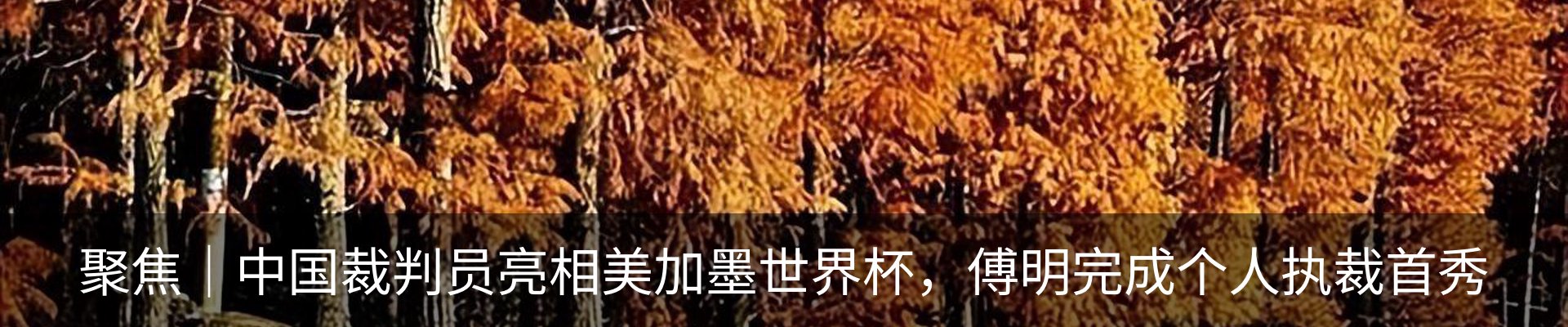 行业资讯